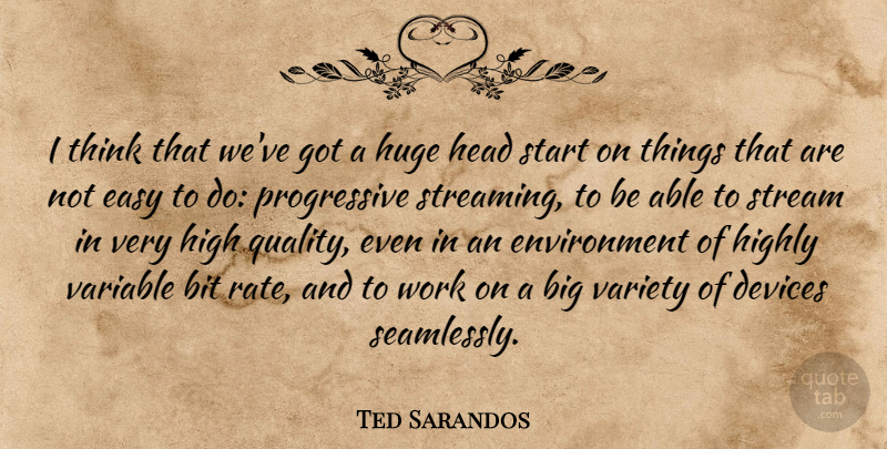 Ted Sarandos Quote About Bit, Devices, Easy, Environment, Head: I Think That Weve Got...