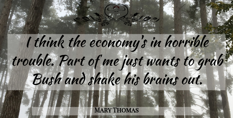 Mary Thomas Quote About Brains, Bush, Grab, Horrible, Shake: I Think The Economys In...
