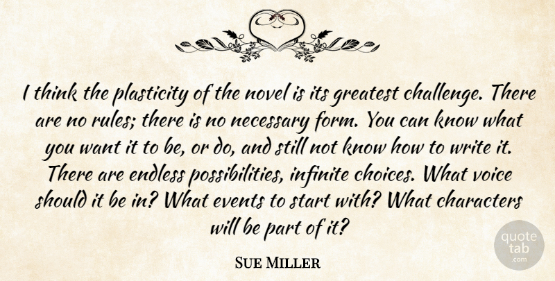 Sue Miller Quote About Characters, Endless, Events, Infinite, Necessary: I Think The Plasticity Of...