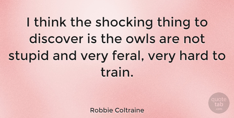 Robbie Coltraine Quote About Stupid, Thinking, Owl: I Think The Shocking Thing...
