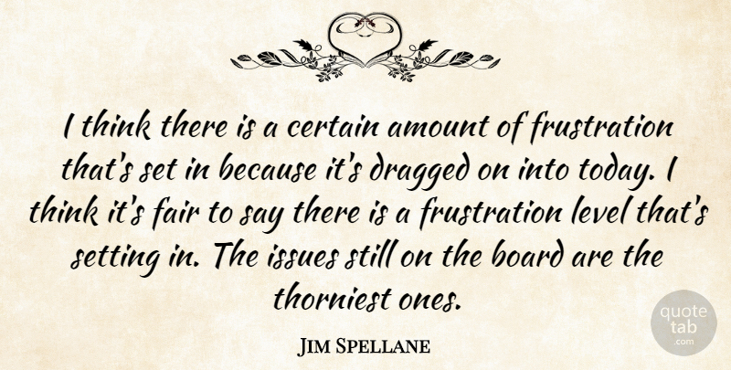 Jim Spellane Quote About Amount, Board, Certain, Dragged, Fair: I Think There Is A...