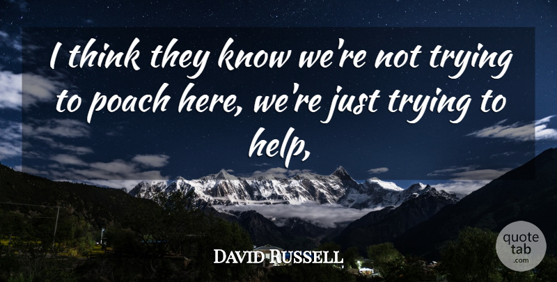 David Russell Quote About Trying: I Think They Know Were...