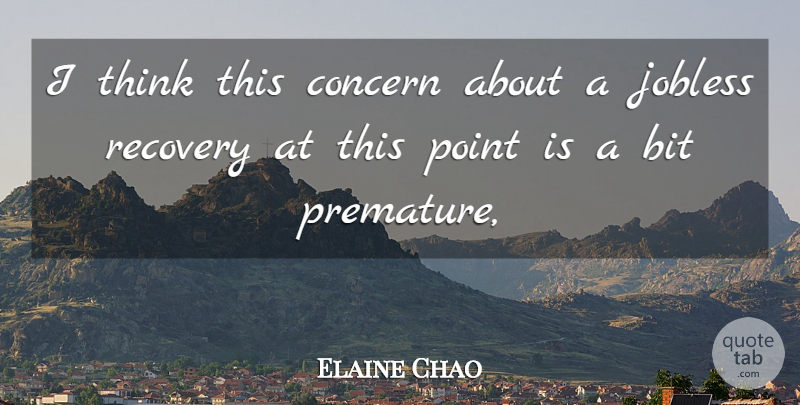Elaine Chao Quote About Bit, Concern, Point, Recovery: I Think This Concern About...