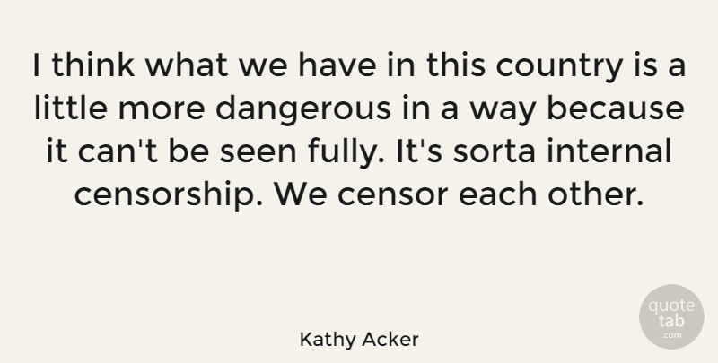 Kathy Acker Quote About American Activist, Country, Internal: I Think What We Have...