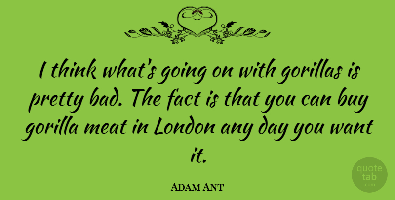 Adam Ant Quote About Thinking, Want, London: I Think Whats Going On...