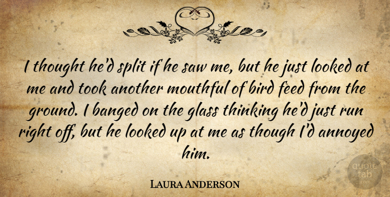 Laura Anderson Quote About Annoyed, Bird, Feed, Glass, Looked: I Thought Hed Split If...