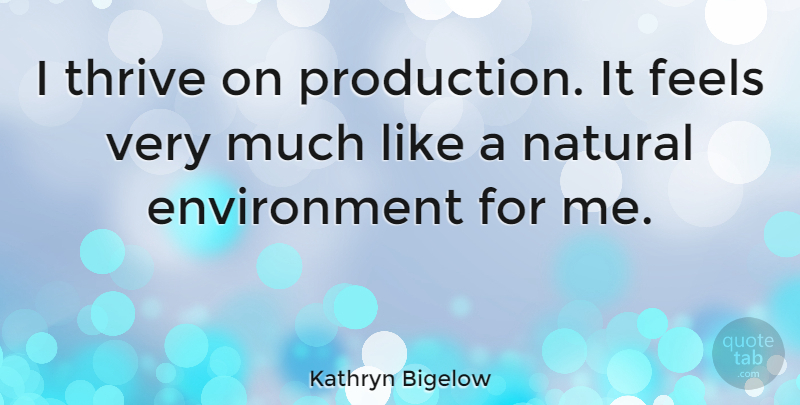 Kathryn Bigelow Quote About Environment, Natural, Thrive: I Thrive On Production It...