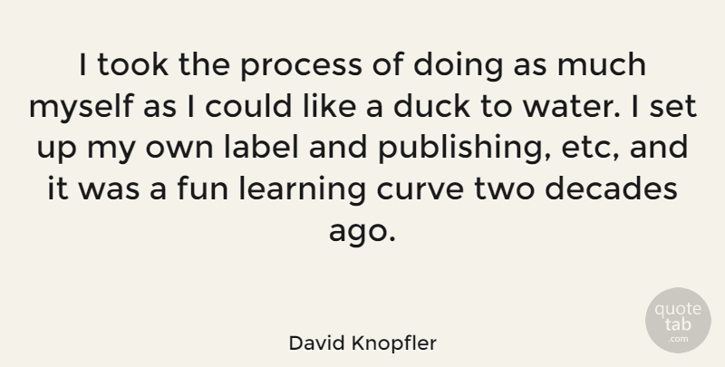David Knopfler Quote About Fun, Two, Ducks: I Took The Process Of...