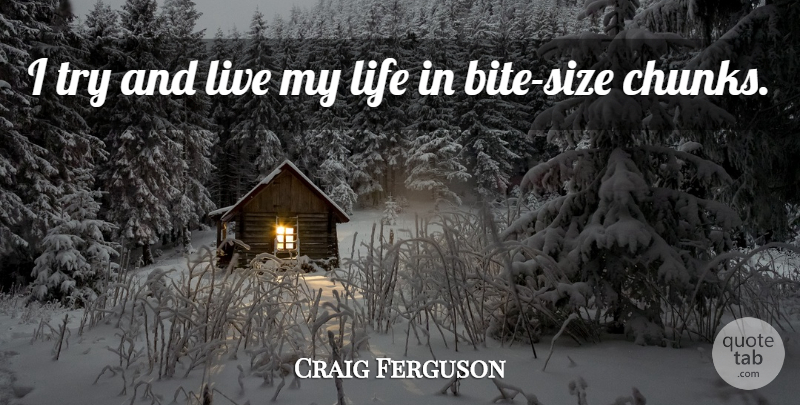 Craig Ferguson Quote About Trying, Size, Living My Life: I Try And Live My...