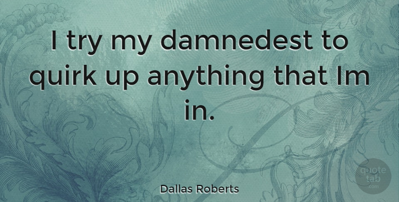 Dallas Roberts Quote About Trying, Quirks: I Try My Damnedest To...