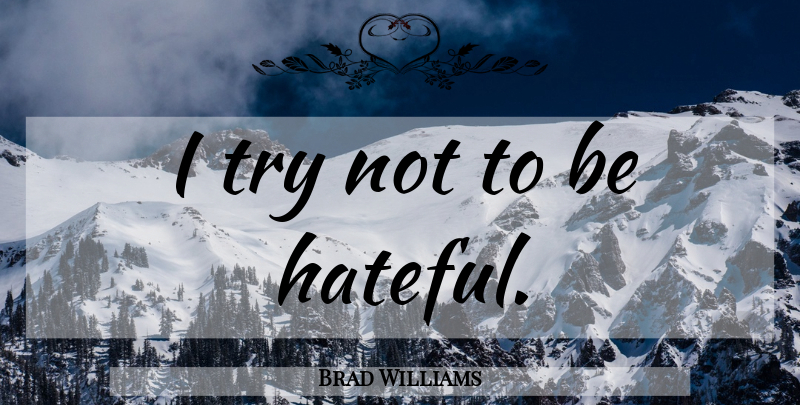 Brad Williams Quote About Trying, Hateful: I Try Not To Be...
