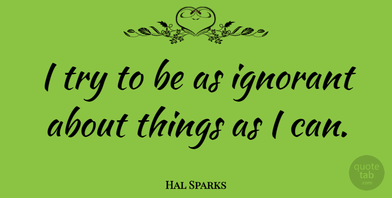 Hal Sparks Quote About Ignorant, Trying, I Can: I Try To Be As...