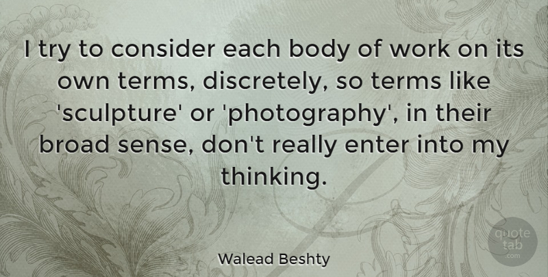 Walead Beshty Quote About Broad, Consider, Enter, Terms, Work: I Try To Consider Each...