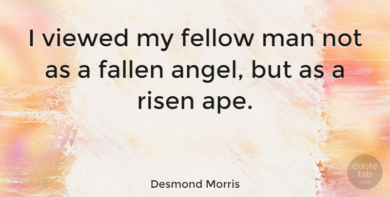 Desmond Morris Quote About Angel, Men, Fellow Man: I Viewed My Fellow Man...