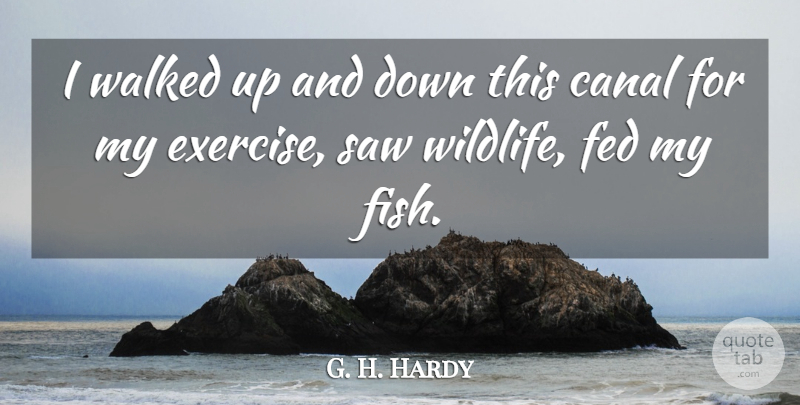 G. H. Hardy Quote About Canal, Exercise, Fed, Saw, Walked: I Walked Up And Down...