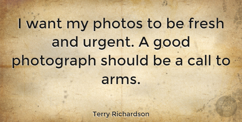 Terry Richardson Quote About Want, Arms, Photograph: I Want My Photos To...