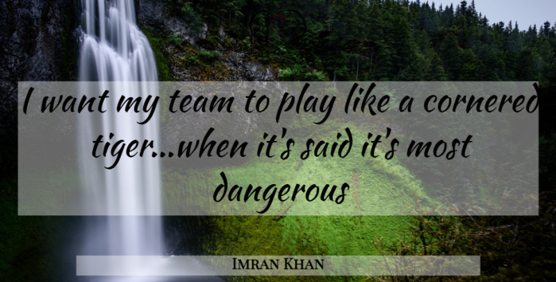 Imran Khan Quote About Team, Play, Want: I Want My Team To...