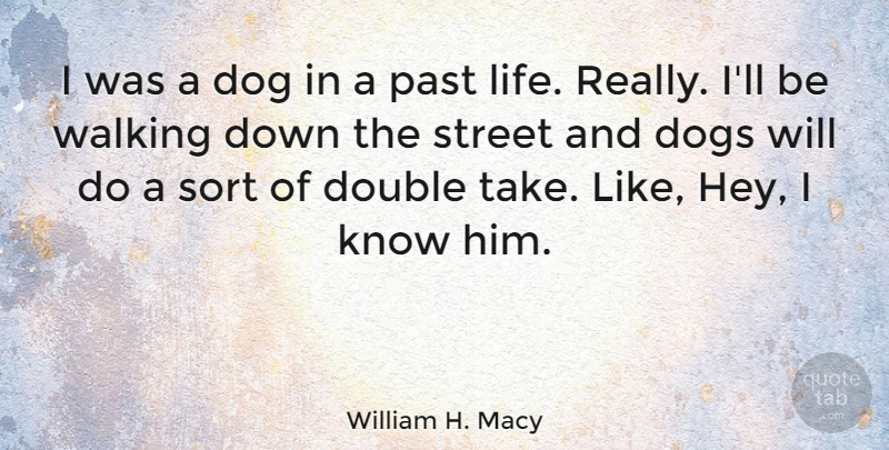 William H. Macy Quote About Dog, Past, Pet: I Was A Dog In...