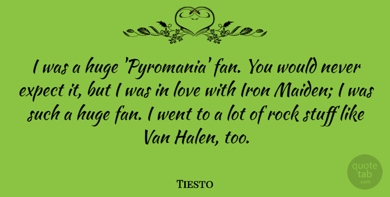Tiesto Quote About Huge, Iron, Love, Stuff, Van: I Was A Huge Pyromania...