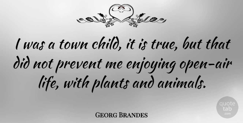 Georg Brandes Quote About Children, Animal, Air: I Was A Town Child...