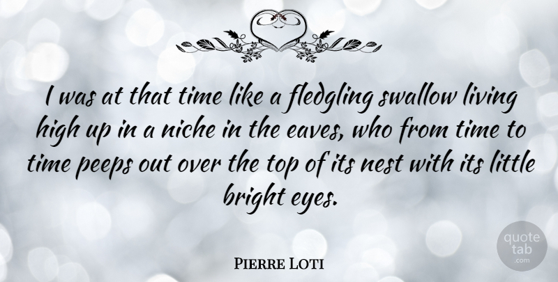 Pierre Loti Quote About Bright, French Writer, High, Nest, Niche: I Was At That Time...
