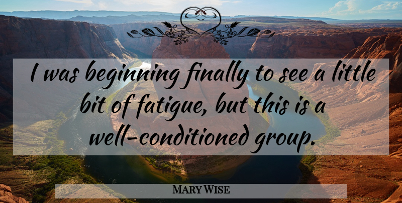 Mary Wise Quote About Beginning, Bit, Finally: I Was Beginning Finally To...