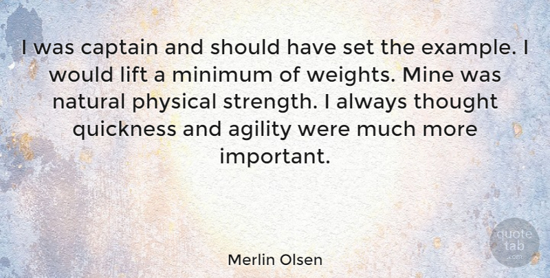 Merlin Olsen Quote About Should Have, Important, Example: I Was Captain And Should...