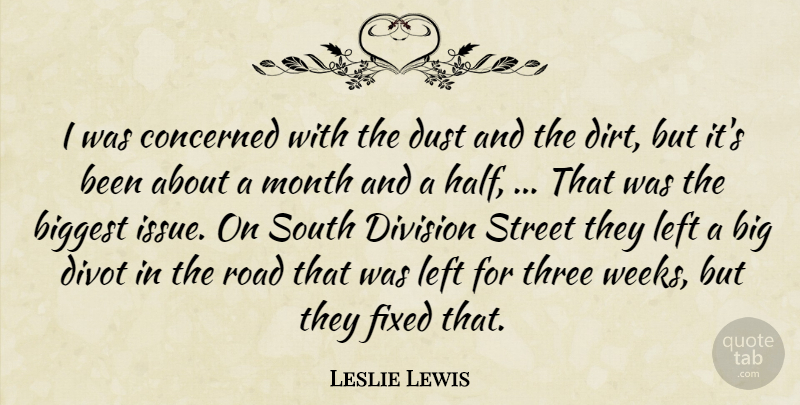 Leslie Lewis Quote About Biggest, Concerned, Division, Dust, Fixed: I Was Concerned With The...
