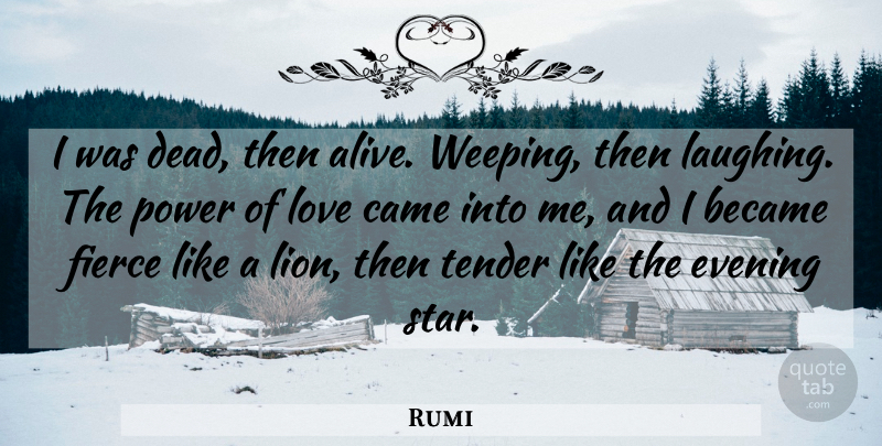 Rumi Quote About Love, Stars, Laughing: I Was Dead Then Alive...