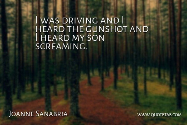 Joanne Sanabria Quote About Driving, Heard, Son: I Was Driving And I...