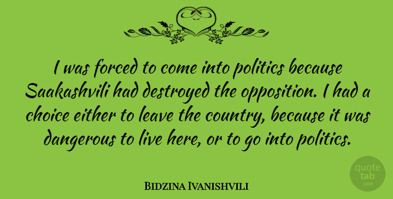 Bidzina Ivanishvili Quote About Destroyed, Either, Forced, Leave, Politics: I Was Forced To Come...