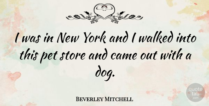 Beverley Mitchell Quote About Dog, New York, Pet: I Was In New York...