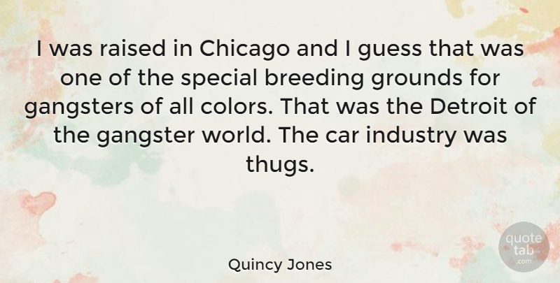 Quincy Jones Quote About Thug, Color, Car: I Was Raised In Chicago...