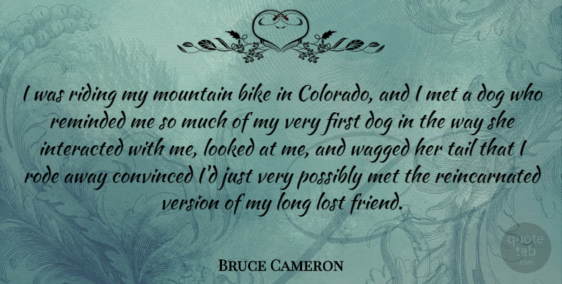 Bruce Cameron Quote About Bike, Convinced, Looked, Met, Possibly: I Was Riding My Mountain...