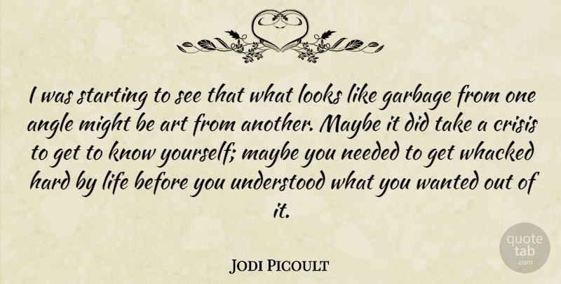 Jodi Picoult Quote About Art, Looks, Might: I Was Starting To See...