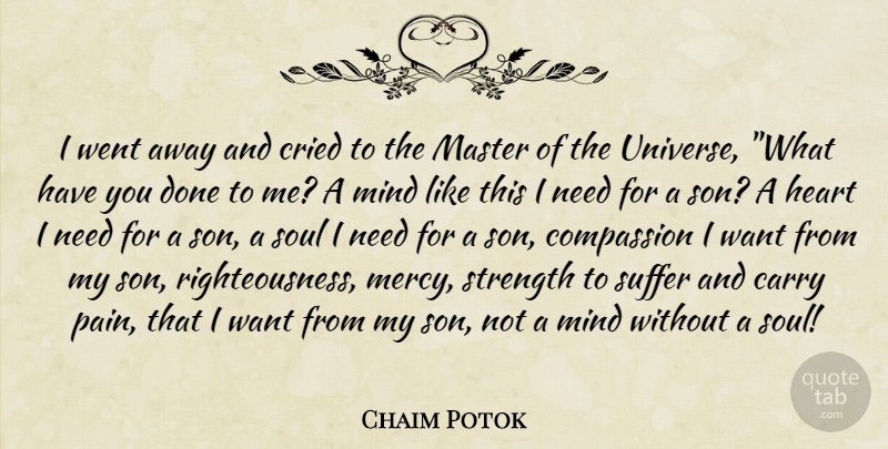 Chaim Potok Quote About Pain, Heart, Son: I Went Away And Cried...