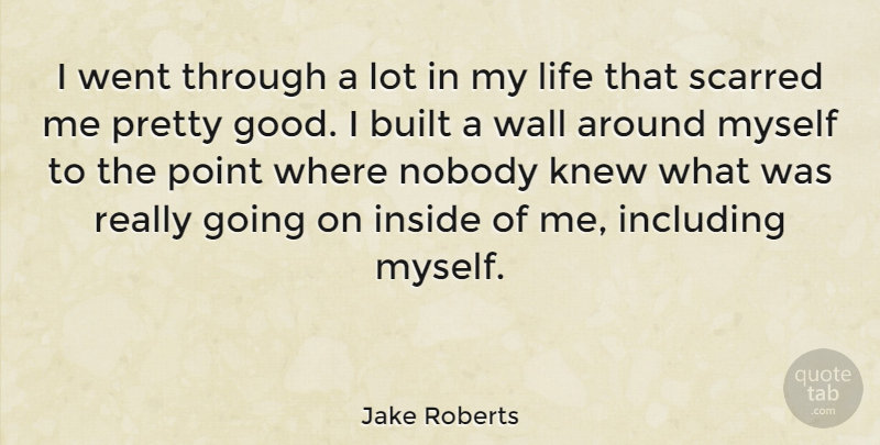 Jake Roberts Quote About Built, Good, Including, Inside, Knew: I Went Through A Lot...