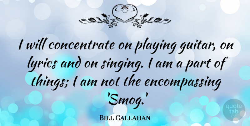 Bill Callahan Quote About Lyrics: I Will Concentrate On Playing...