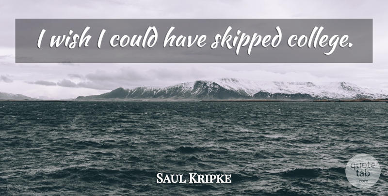 Saul Kripke Quote About College, Wish: I Wish I Could Have...