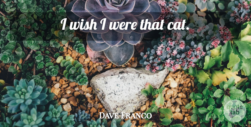 Dave Franco Quote About Cat, Wish: I Wish I Were That...