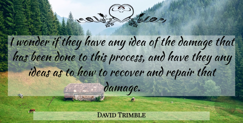 David Trimble Quote About Damage, Ideas, Recover, Repair, Wonder: I Wonder If They Have...