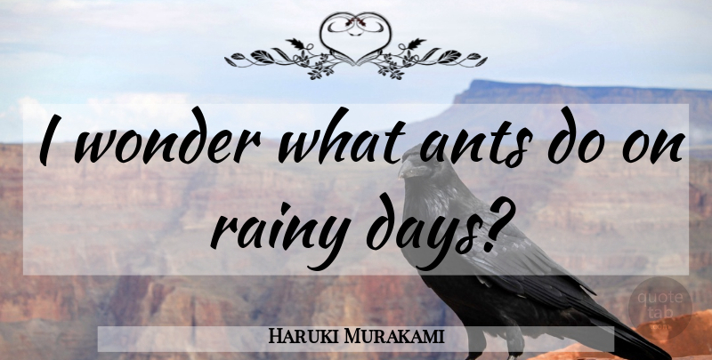 Haruki Murakami Quote About Rainy Day, Ants, Wonder: I Wonder What Ants Do...