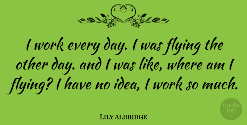 Lily Aldridge Quote About Ideas, Flying, No Idea: I Work Every Day I...