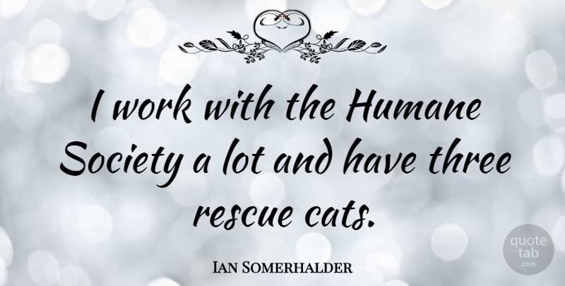 Ian Somerhalder Quote About Cat, Three, Rescue: I Work With The Humane...