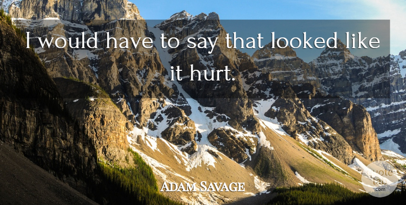 Adam Savage Quote About Hurt, Hurt Feelings, It Hurts: I Would Have To Say...