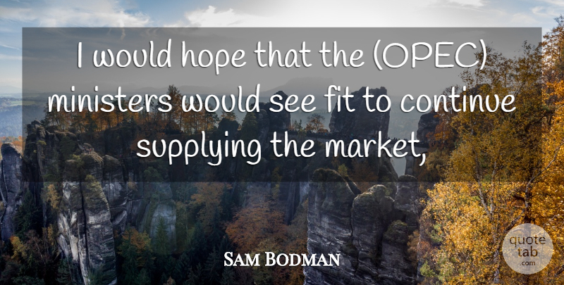 Sam Bodman Quote About Continue, Fit, Hope, Ministers: I Would Hope That The...