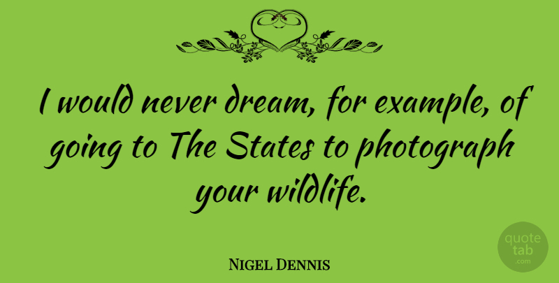 Nigel Dennis Quote About Dream, Wildlife, Example: I Would Never Dream For...