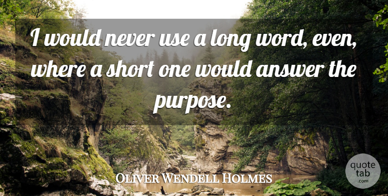 Oliver Wendell Holmes Quote About Long, Use, Answers: I Would Never Use A...