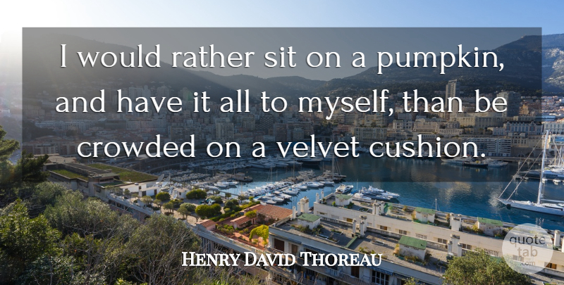Henry David Thoreau Quote About American Author, Crowded, Rather, Sit, Solitude: I Would Rather Sit On...