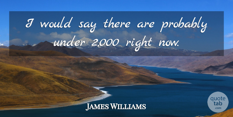 James Williams Quote About undefined: I Would Say There Are...